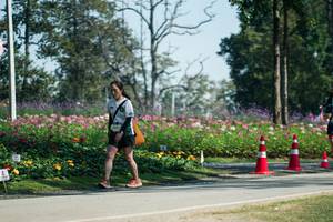 BIB: 
                            <button type="button" onclick="openModal(27607924)" class="btn btn-primary btn-sm float-right btn-popup" data-toggle="modal" data-target=".modal-high-quality">
                        <i class="fas fa-shopping-cart"></i> Add to Cart
                    </button>
                                            <button type="button" onclick="isThisMe(27607924, true)" class="btn btn-success btn-sm float-right btn-popup btn-isme hidden" data-toggle="tooltip" data-placement="bottom" title="นี่คือรูปของคุณใช่ไหม คลิกที่นี่เพื่อเอาเข้าอัลบั้ม">
                        <i class="fas fa-plus"></i> Add to album
                    </button>
                    <button type="button" onclick="isThisMe(27607924, false)" class="btn btn-warning btn-sm float-right btn-popup btn-isnotme hidden">
                        <i class="fas fa-ban"></i> Remove from album
                    </button>